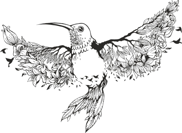 Птичка колибри эскиз