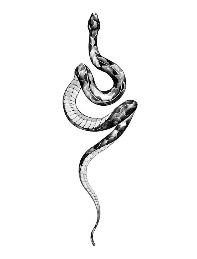 Эскиз прямой змеи