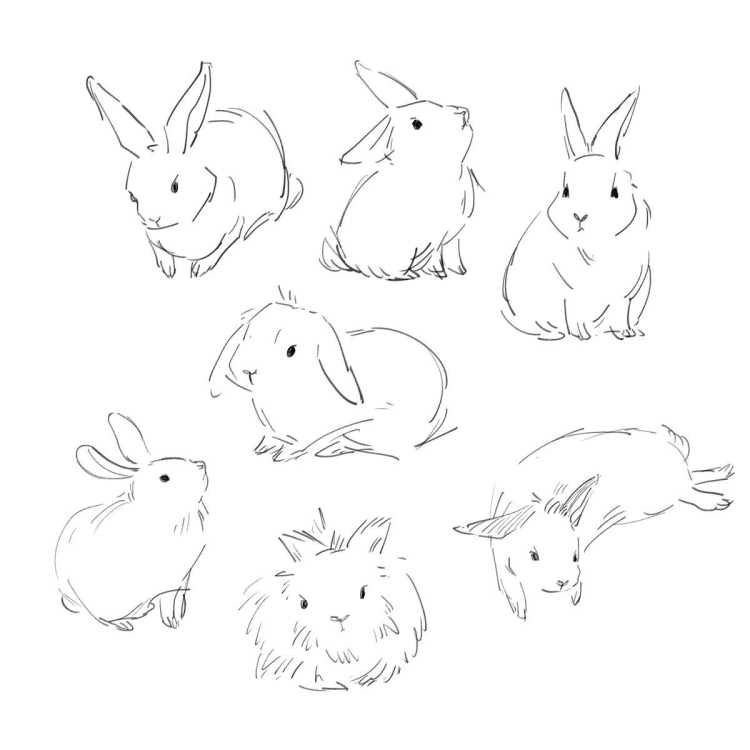 Кролик эскиз рисунка