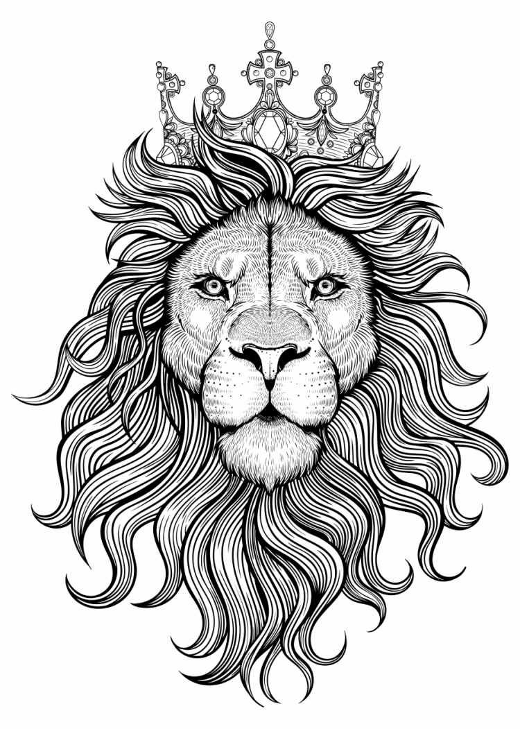 Эскиз голова льва