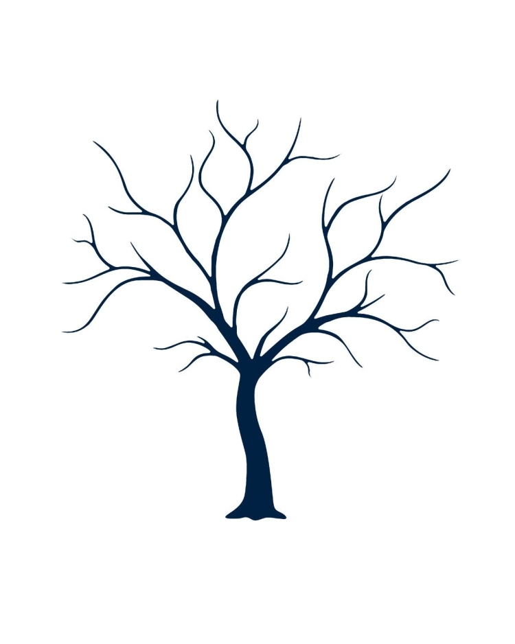 Черный контур голого дерева на белом фоне - графическое изображение
