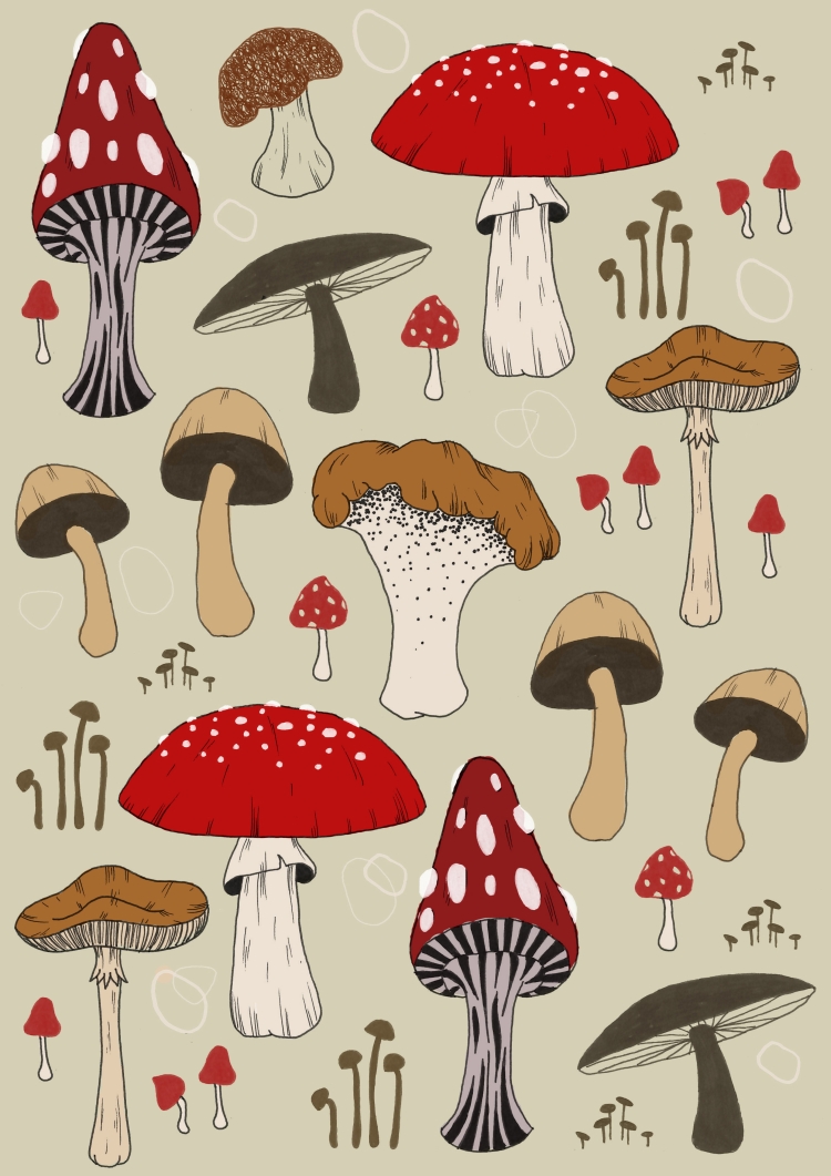 Рисунки грибочки для срисовки