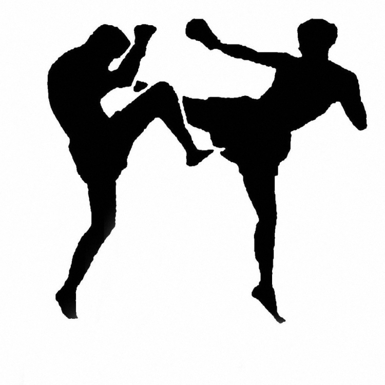 Кикбоксер вектор