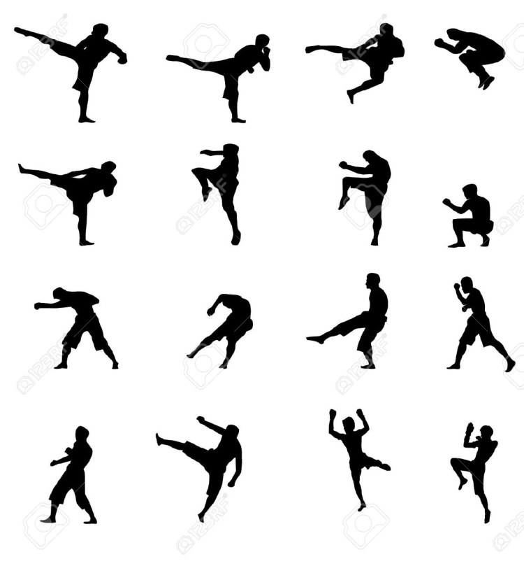 Kickboxing vector Shapes