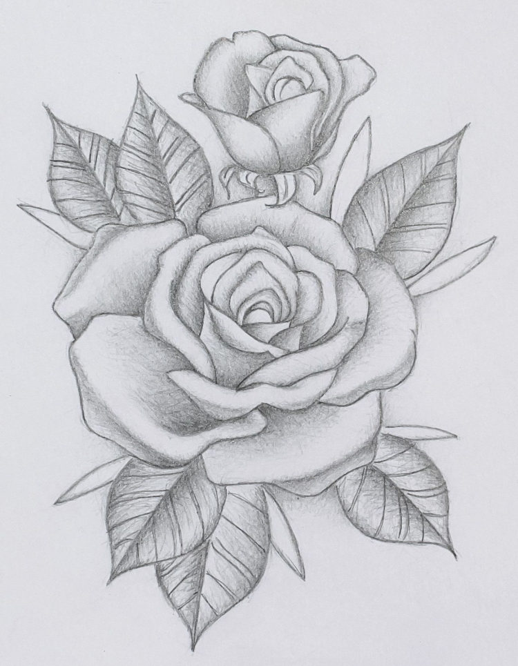 Красивые рисунки розы