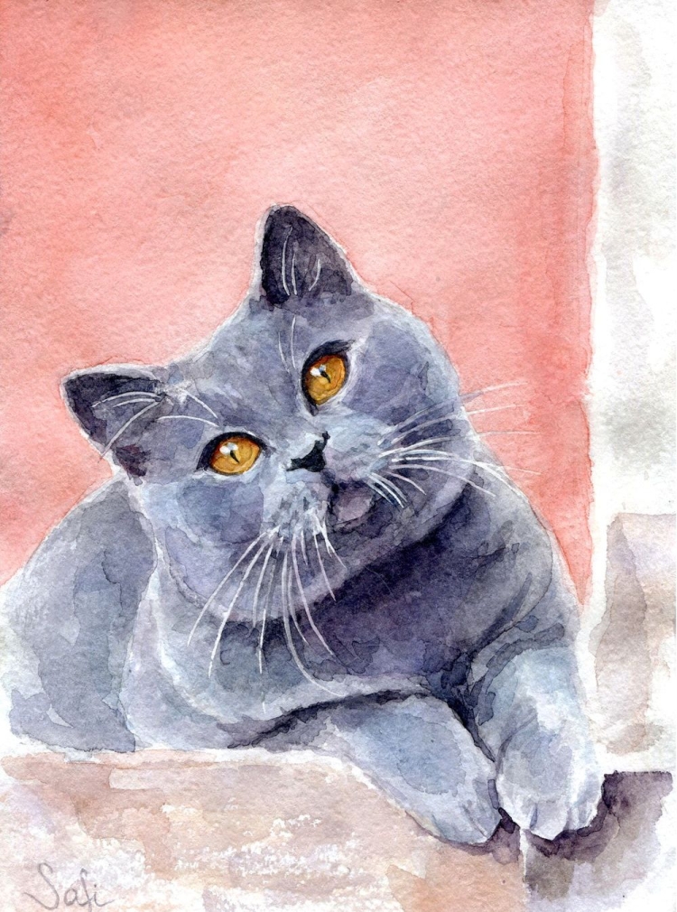 Кот акварелью