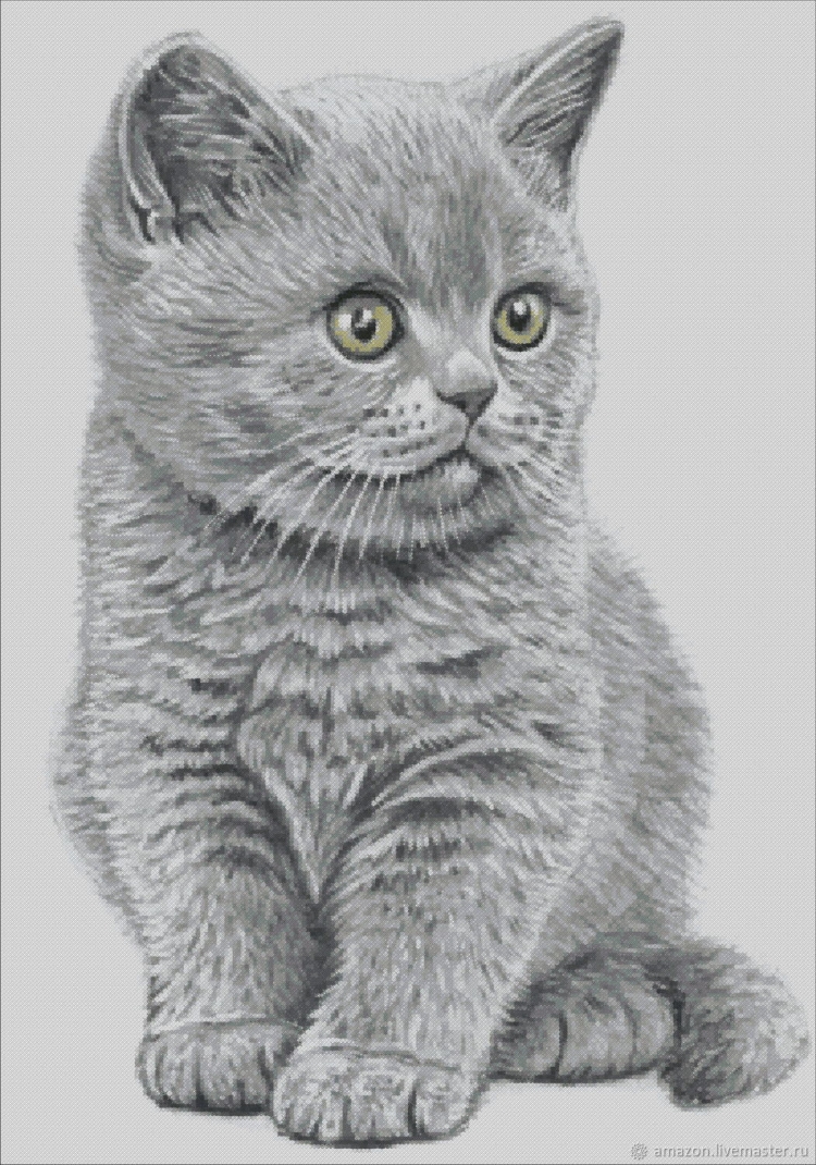 Британская кошка рисунок