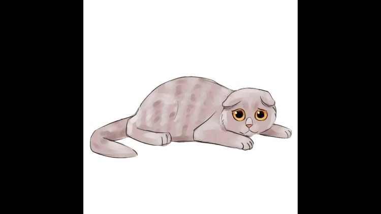 Рисунки для срисовки котики