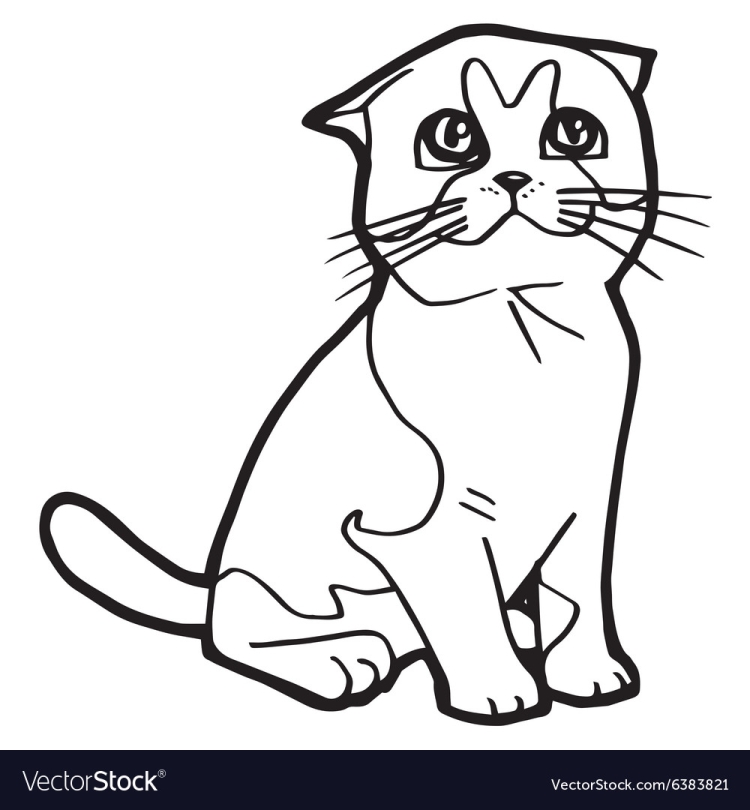 Раскраска вислоухий кот