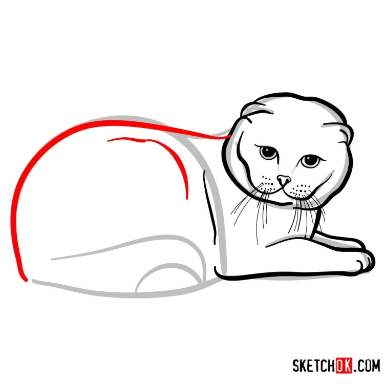 Вислоухий кот карандашом