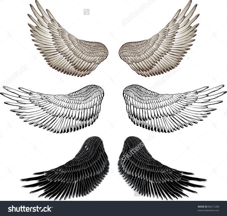 Крыло орла рисунок