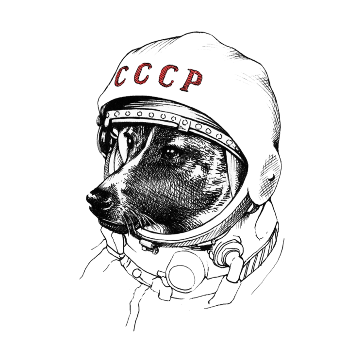 Собаки космонавты