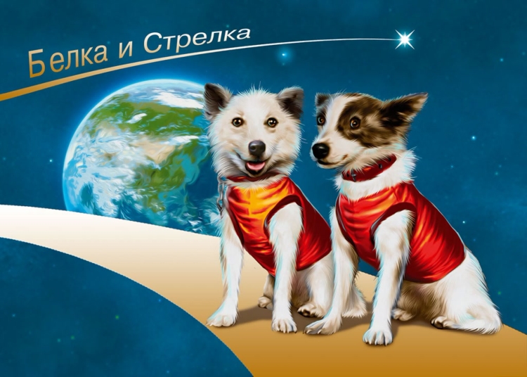 Белка и стрелка в космосе