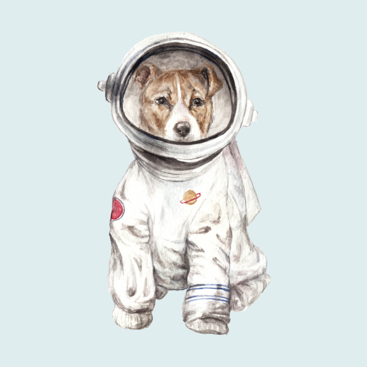 Животные космонавты