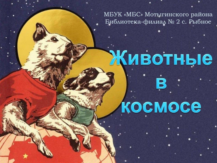 Собака в Космаче