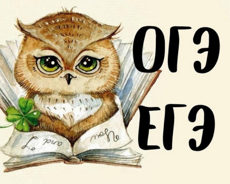 ОГЭ ЕГЭ