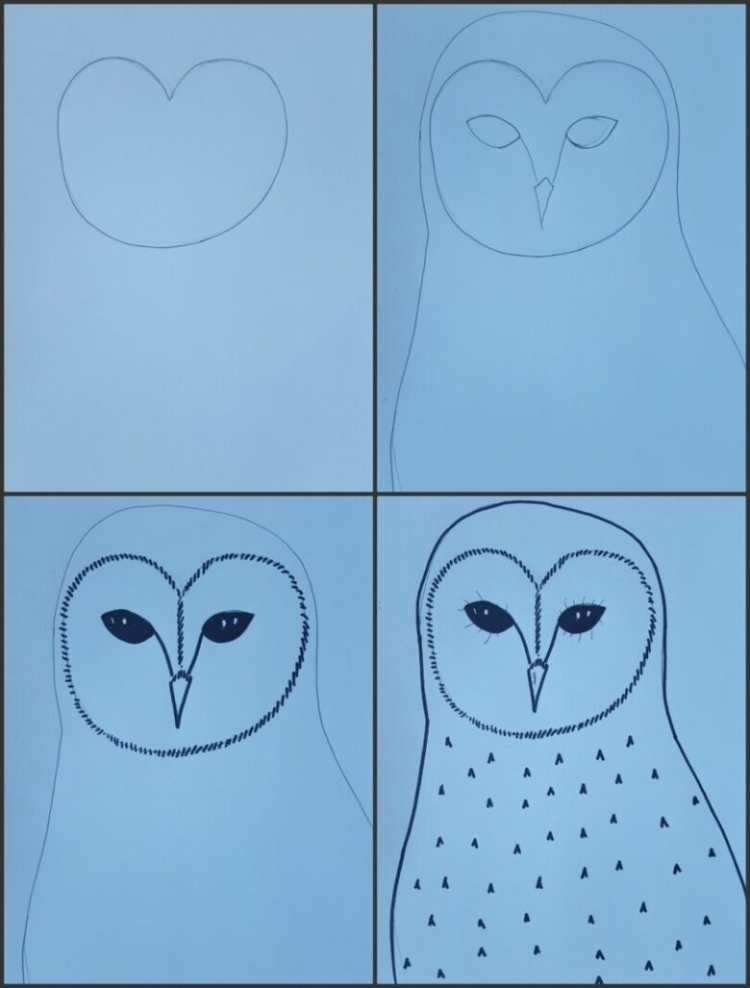 Как нарисовать сову (Виргинский филин)