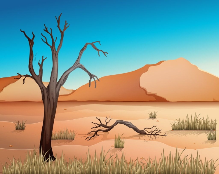 Поэтапное рисование пустыни
