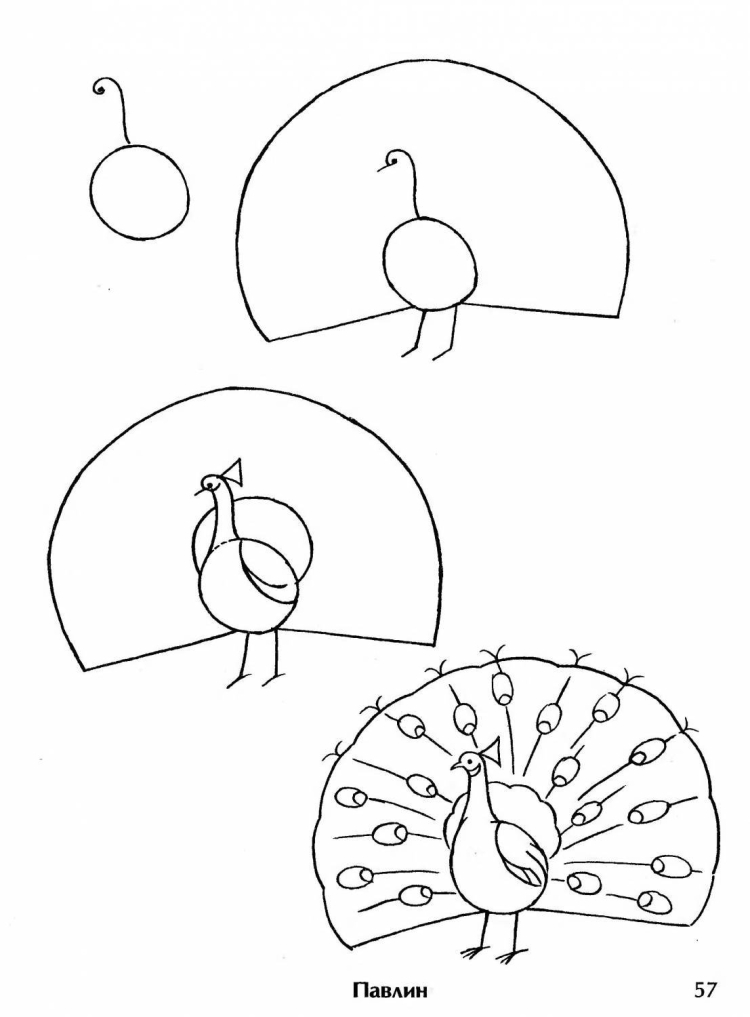 Поэтапное рисование птиц для дошкольников