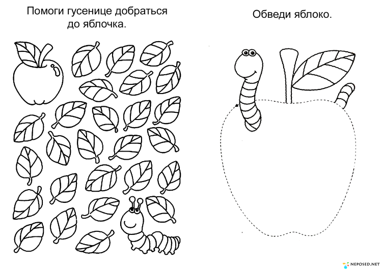 Овощи и фрукты задания для детей