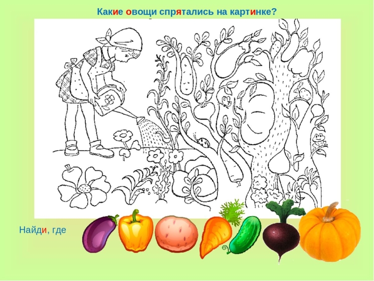 Овощи задания