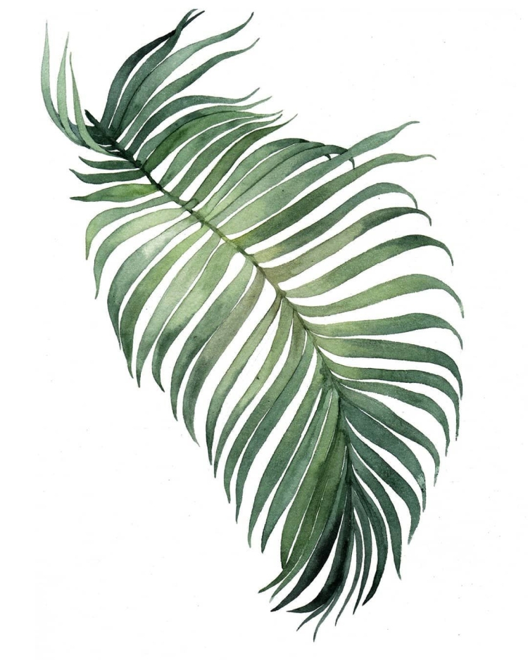 Рисунок тропические листья
