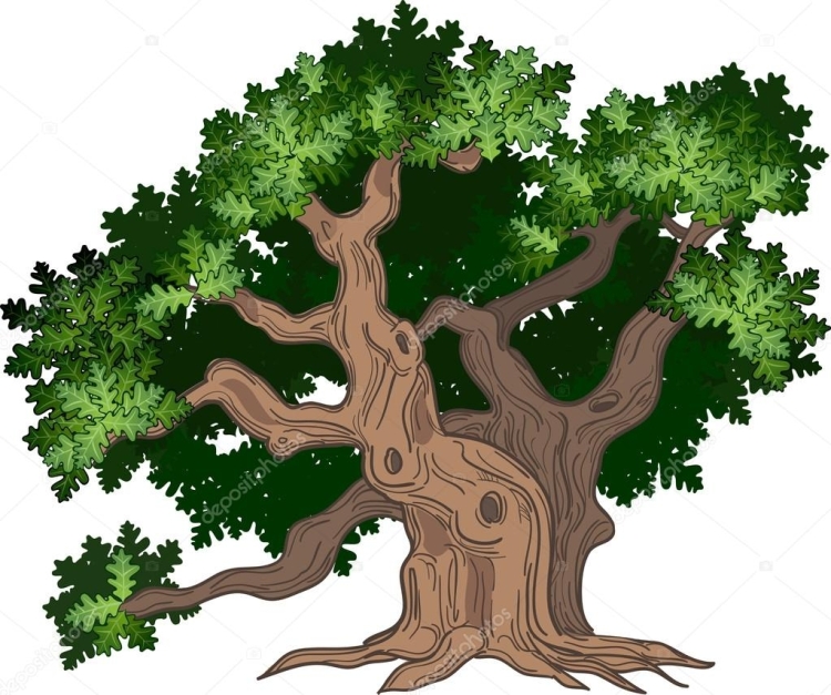 Рисунок большое дерево