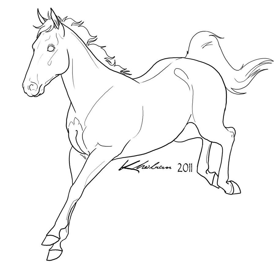 Лошадь с жеребенком — раскраска