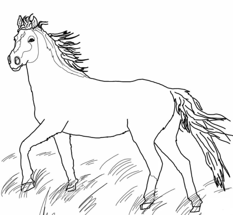 Раскраска лошадь карандашом