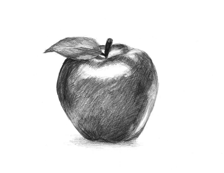 Рисование яблока карандашом
