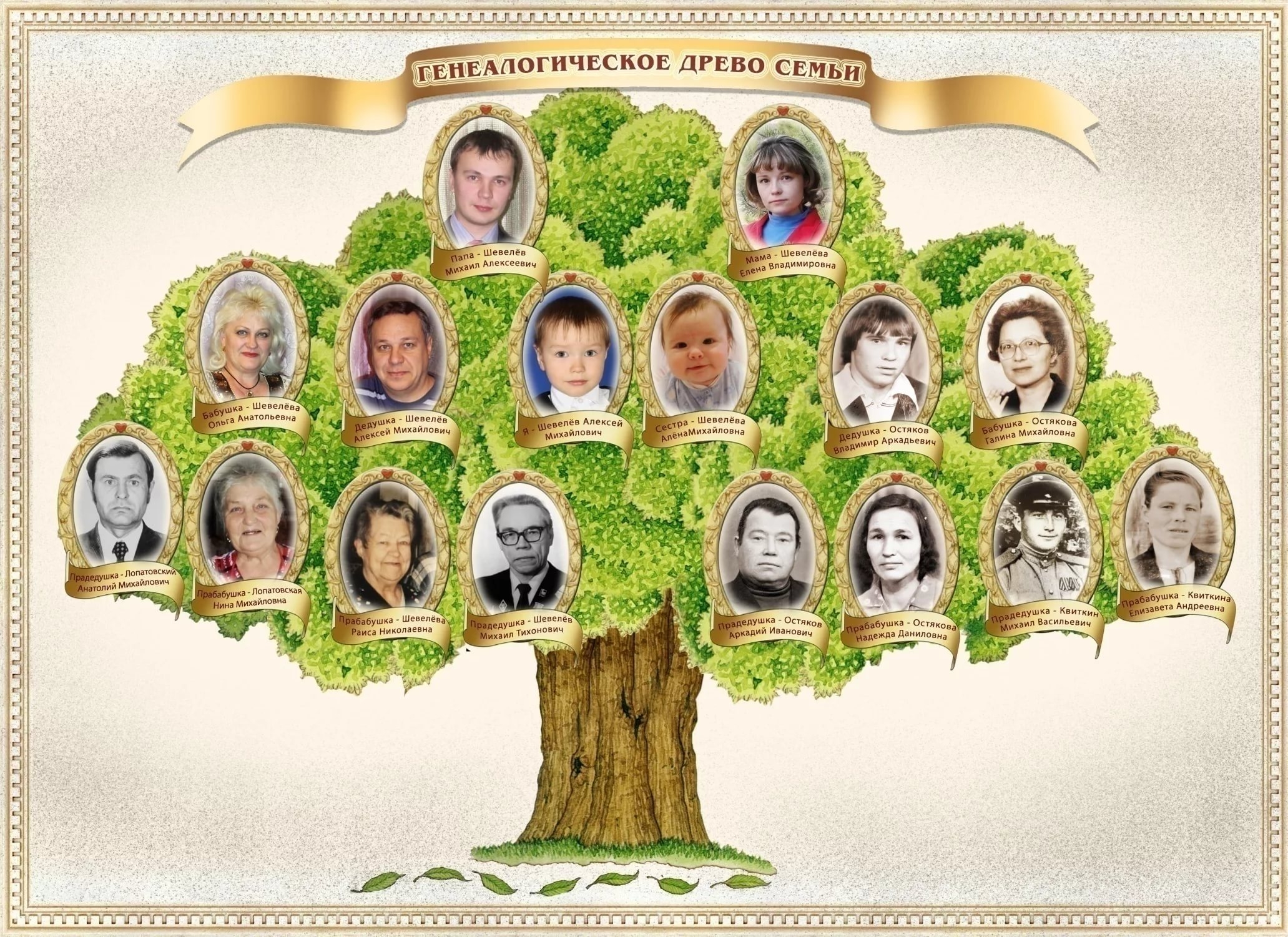 Как нарисовать генеалогическое дерево семьи поэтапно 7 уроков