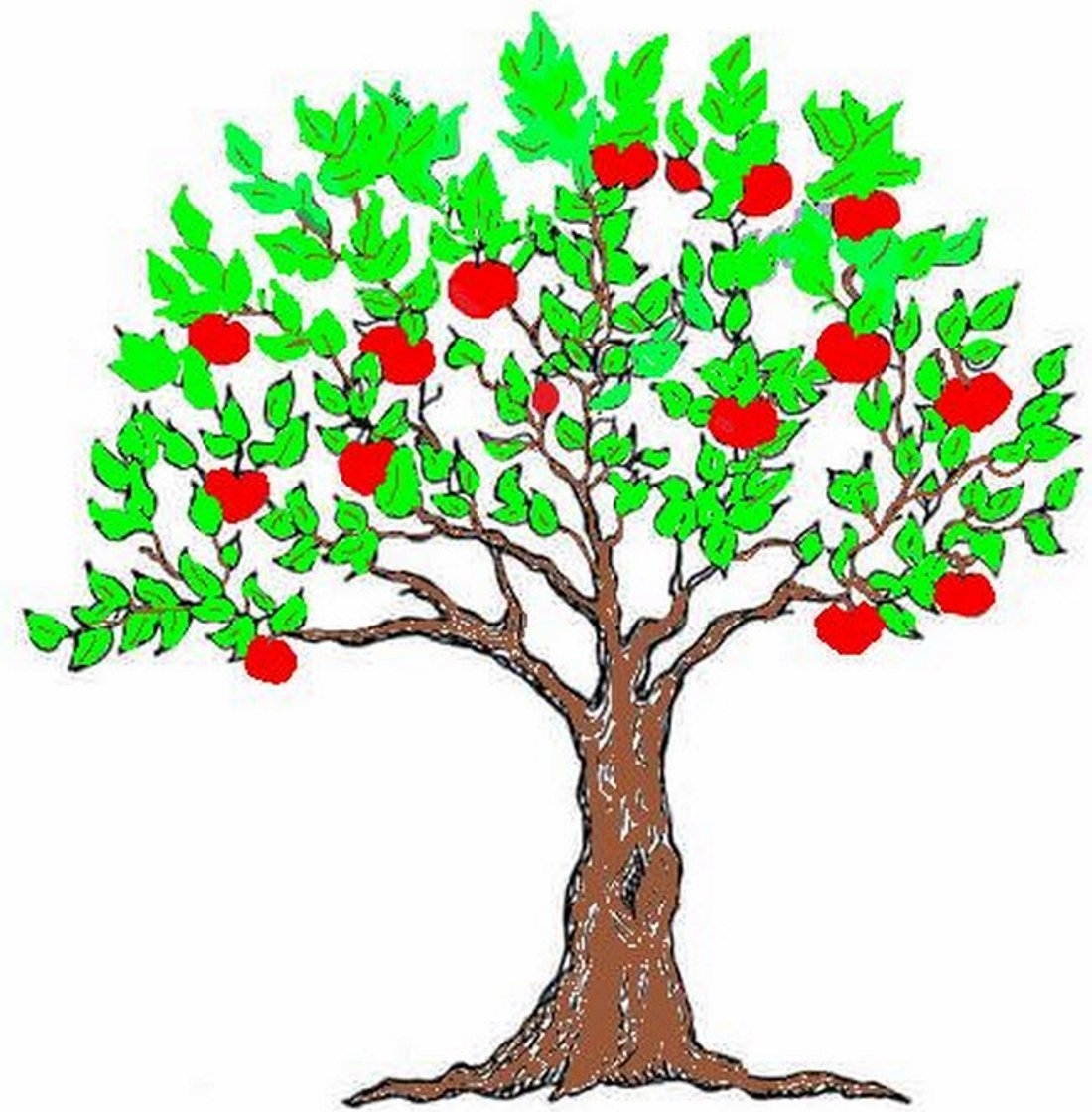 Яблочное дерево рисунок - 55 фото