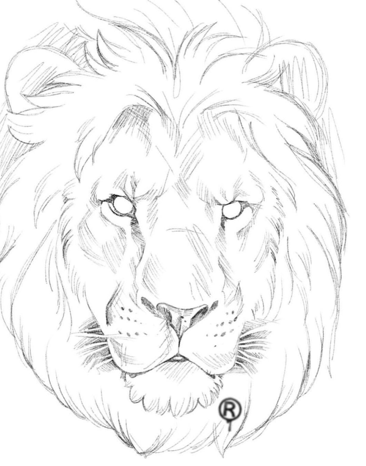 Как нарисовать морду льва карандашом?