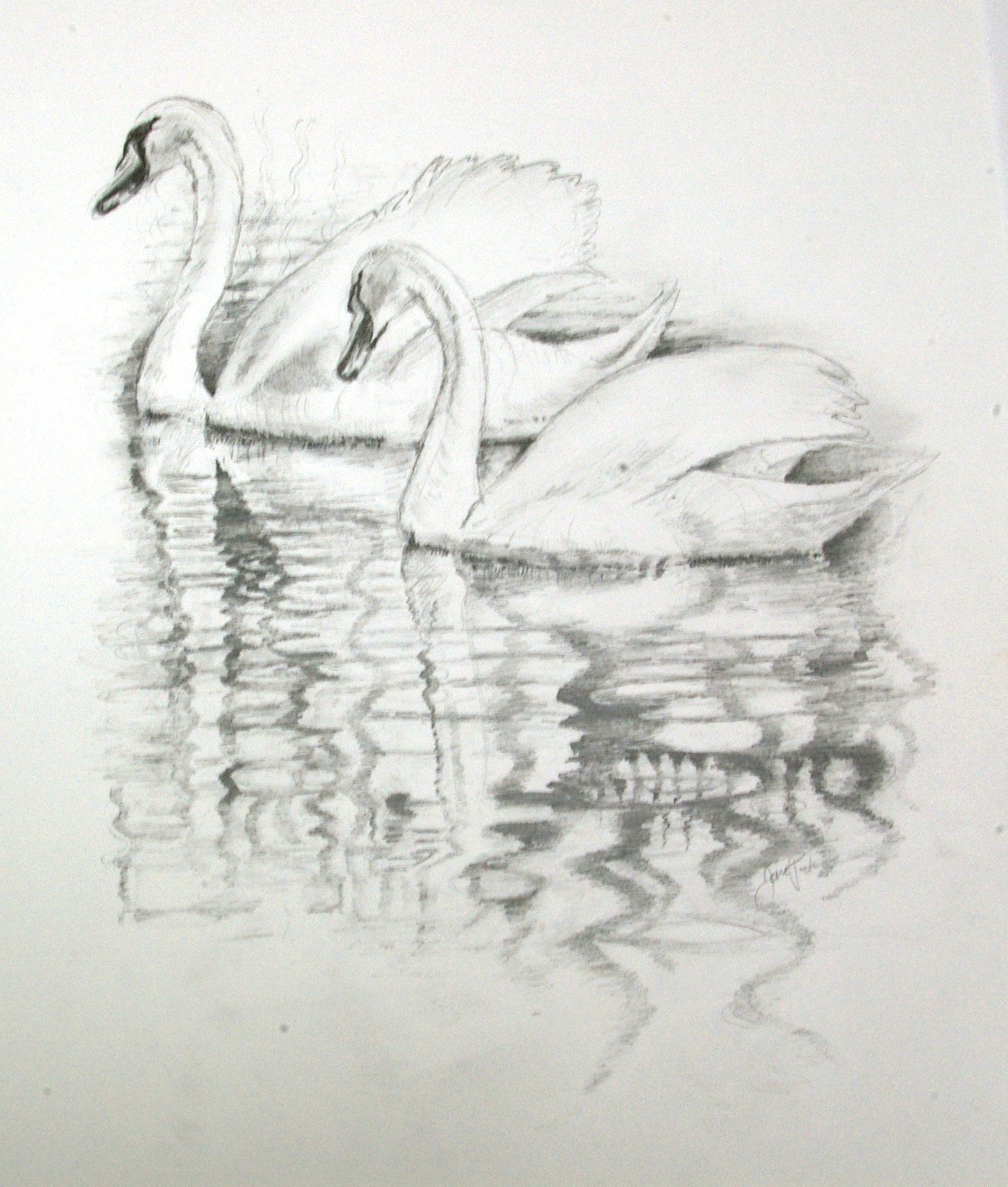 Нарисовать рисунок лебедушка. Есенин с. "лебёдушка". Лебедь рисунок карандашом. Лебедь набросок. Лебедь скетч.