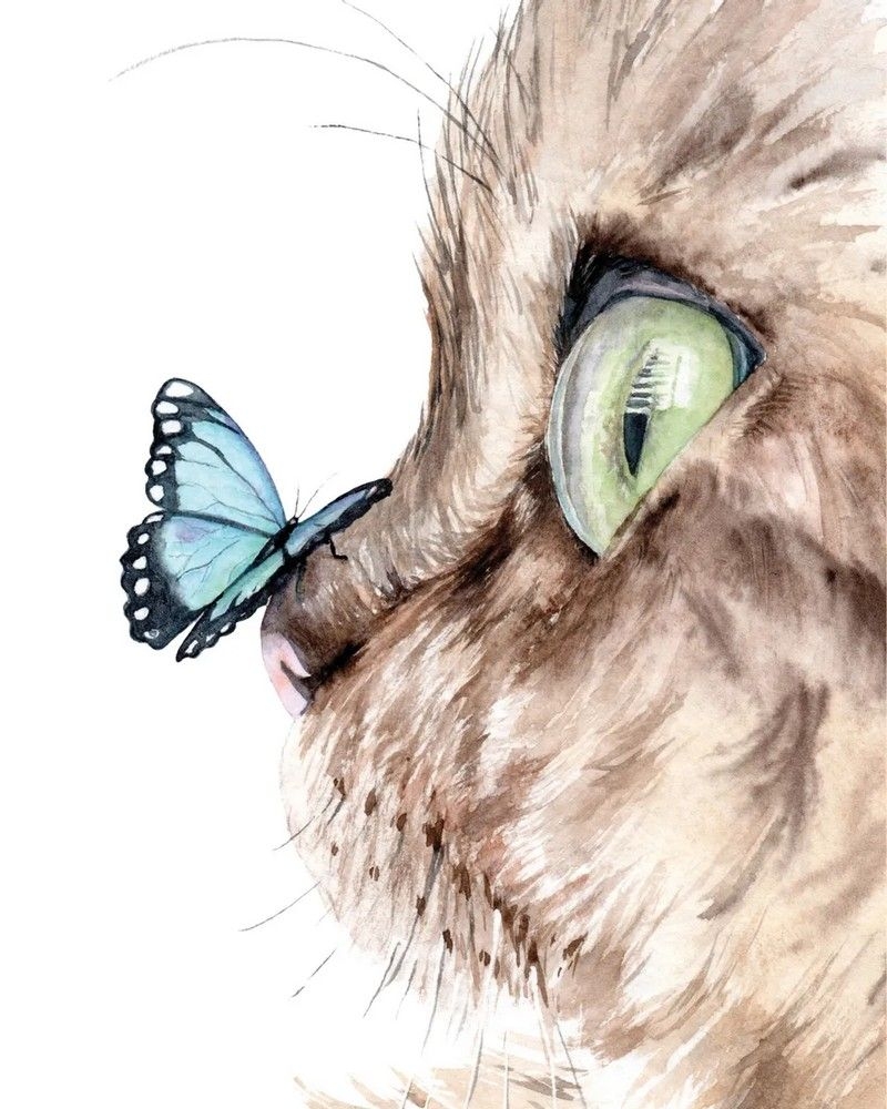 рисунок котик с бабочкой на носу