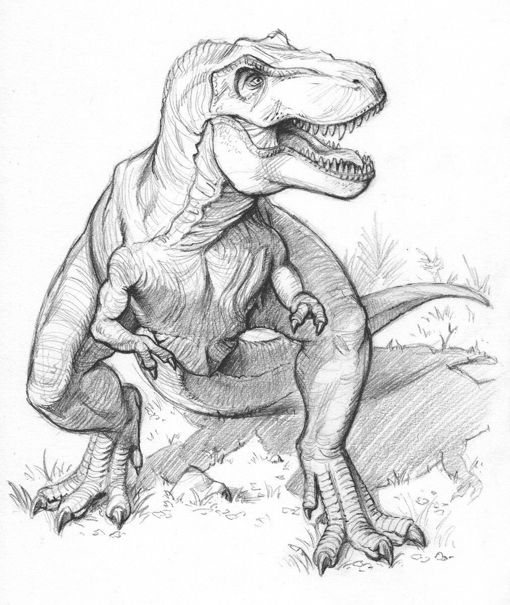 Картинки динозавров нарисовать. Тираннозавр рекс набросок. Тираннозавр рекс для срисовки. Динозавр рисунок. Рисунки динозавров для срисовки.