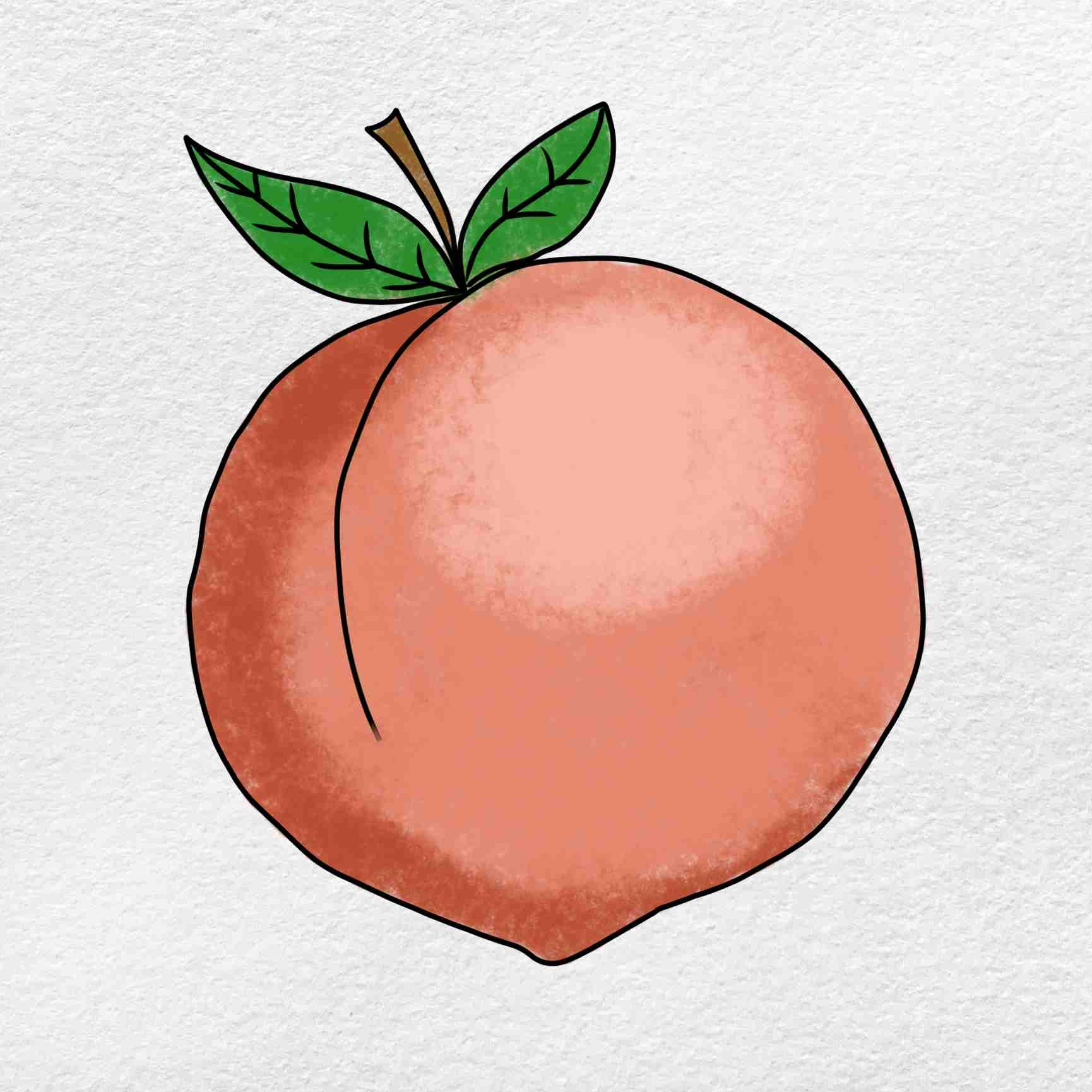 Раскраска персик скачать бесплатно или распечатать онлайн с сайта.