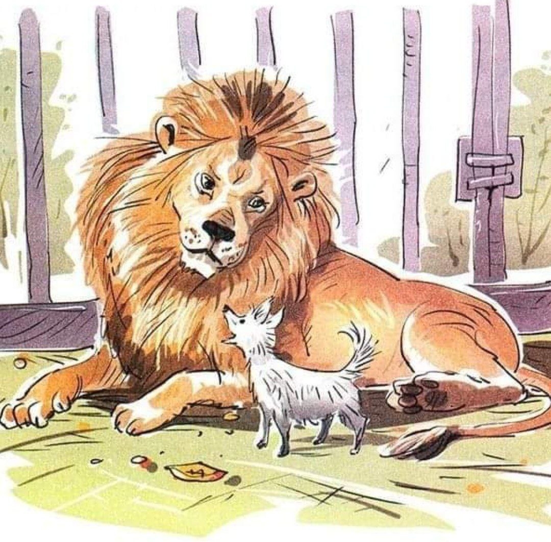 Раскраска к рассказу «Лев и собачка»