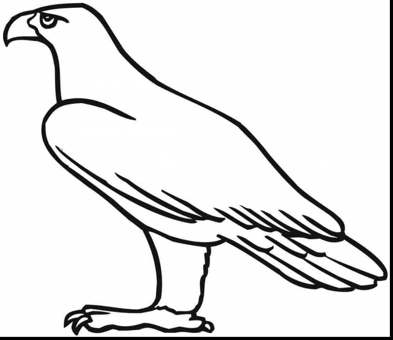 Степной орел рисунок карандашом - 73 фото
