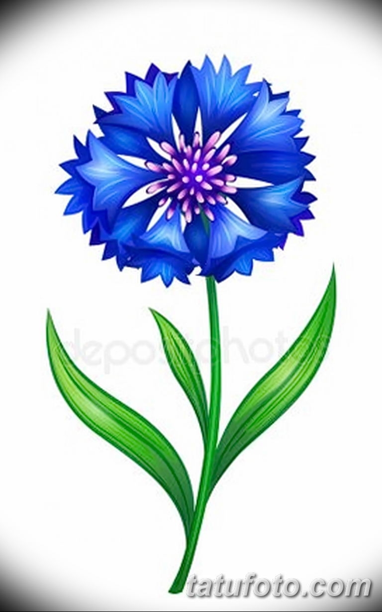 Мелкие синие цветы - фото и картинки: 64 штук