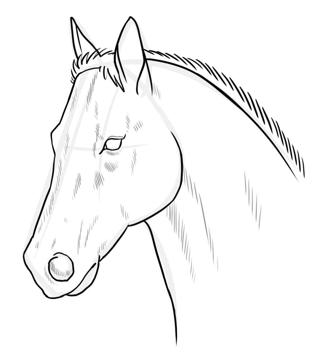 Симпатичная раскраска головы лошади