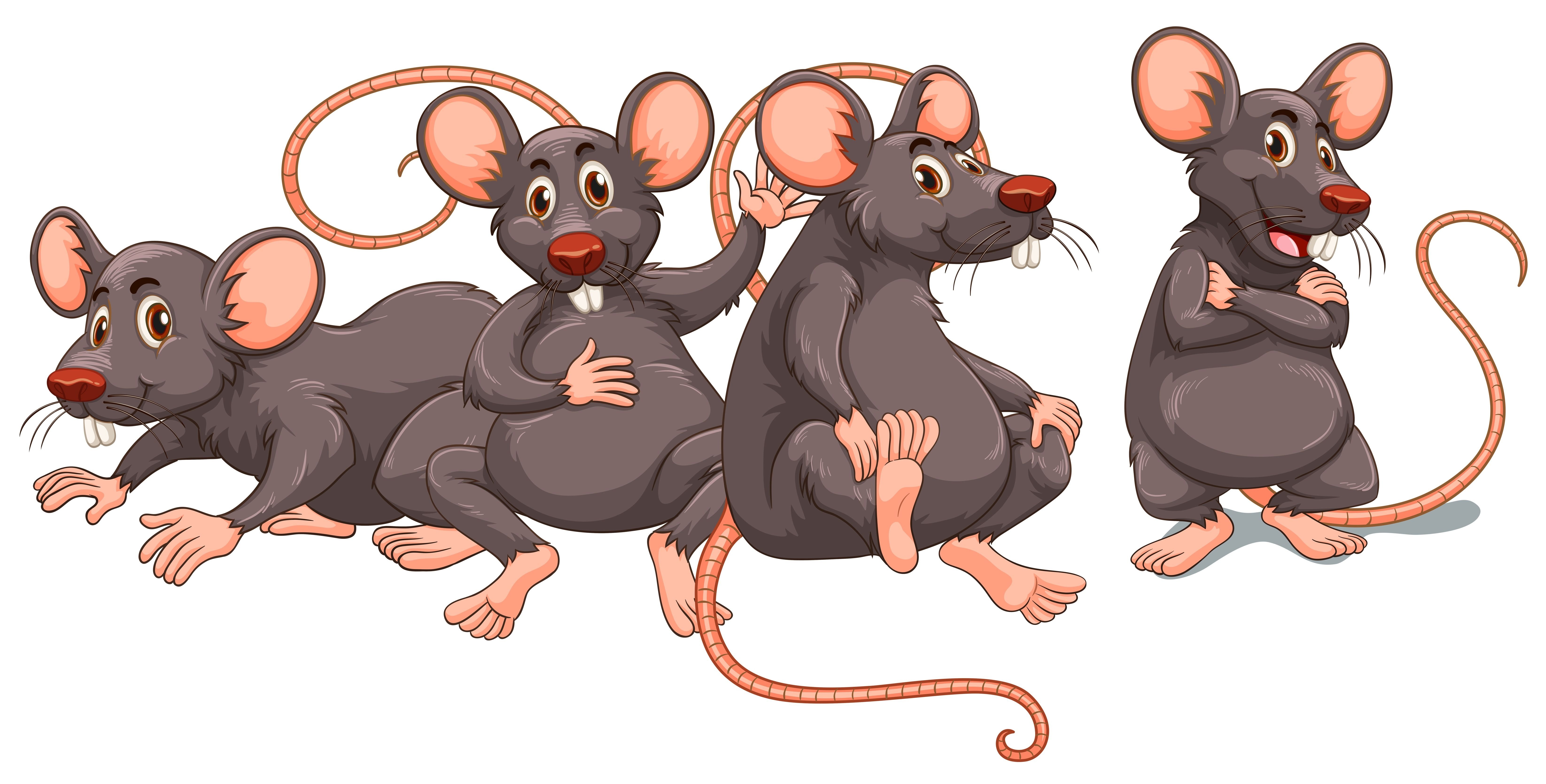 Пять мышей. Мышь мультяшная. Много мышей на белом фоне. Мышь на белом фоне. Крыса мультяшная.