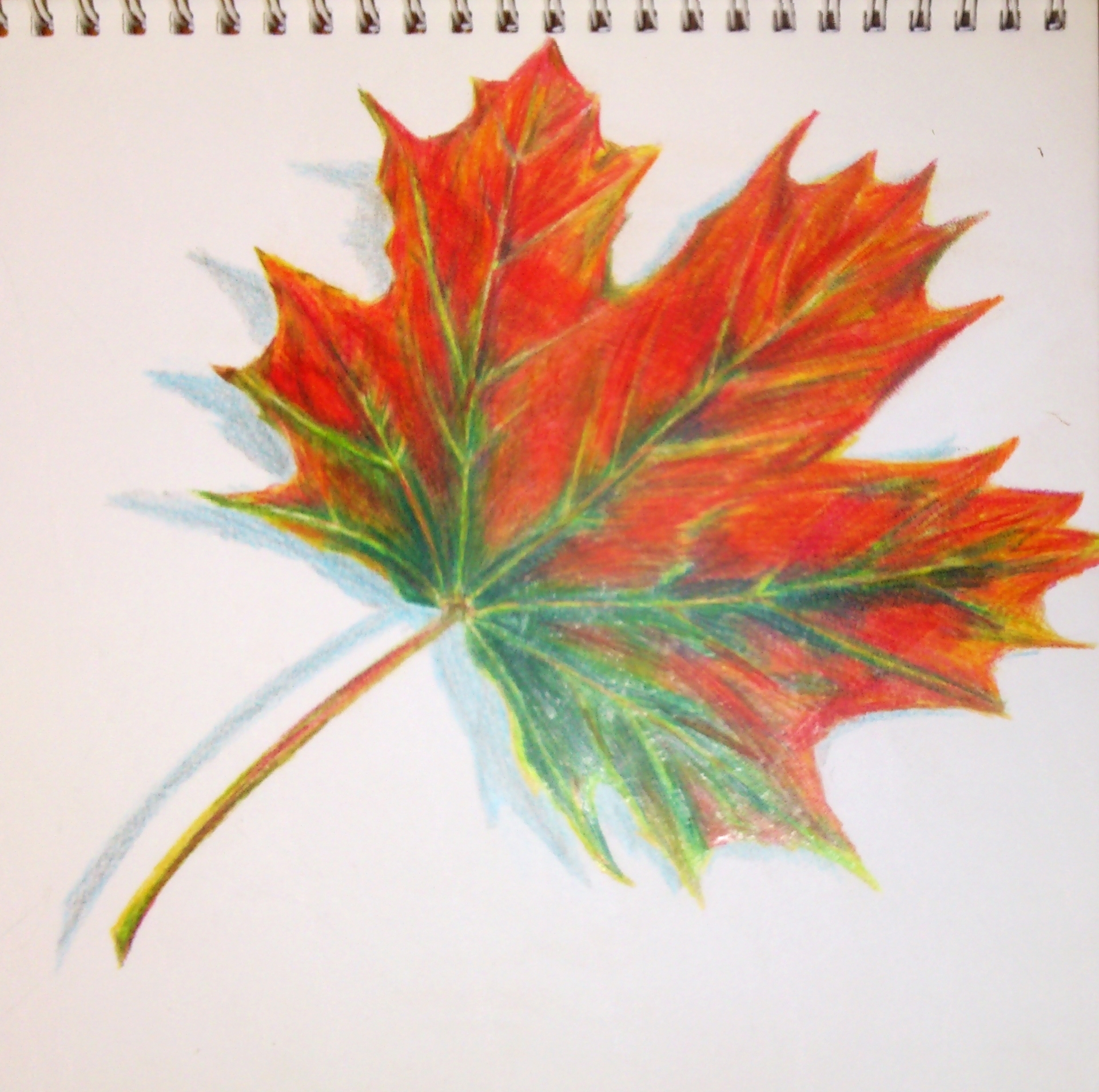 Лист рисунок цветной. Кленовый лист цветными карандашами. Какинарисовать кленовый лист. Рисование кленового листа. Лист клёна рисунок.