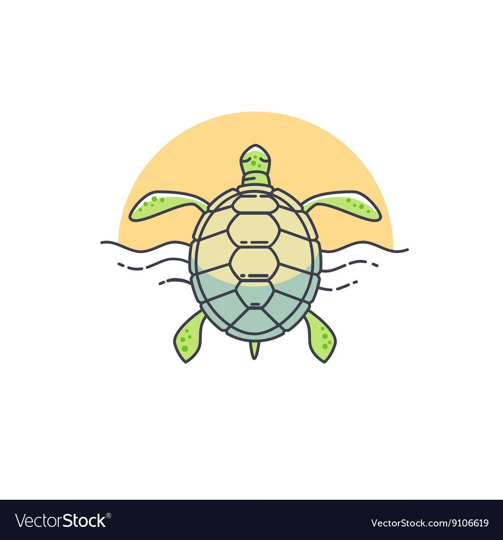 Черепаха рисунок - 55 фото