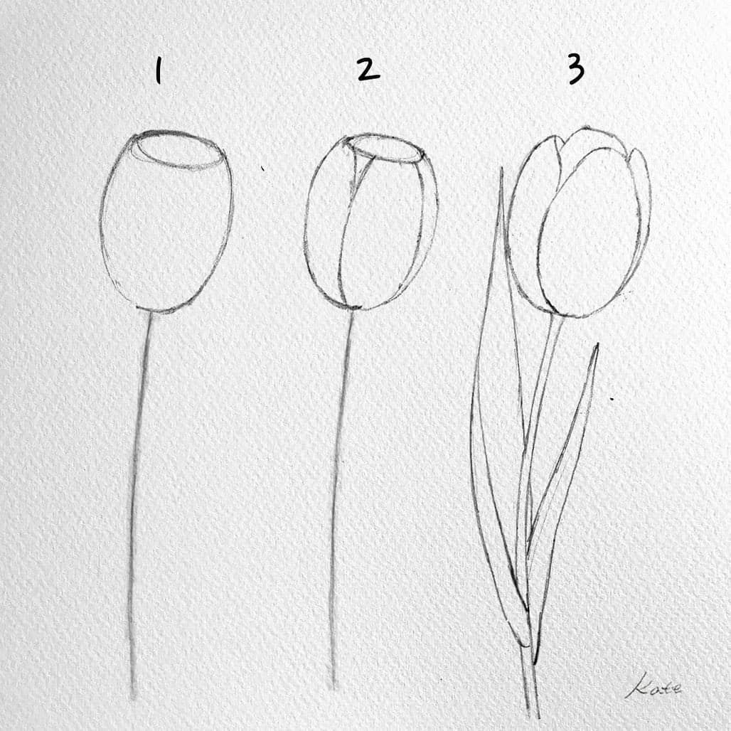 Тюльпан поэтапно карандашом для начинающих. Поэтапное рисование тюльпана. Тюльпаны для рисования карандашом. Простые рисунки для начинающих. Рисунки карандашом цветы для начинающих.