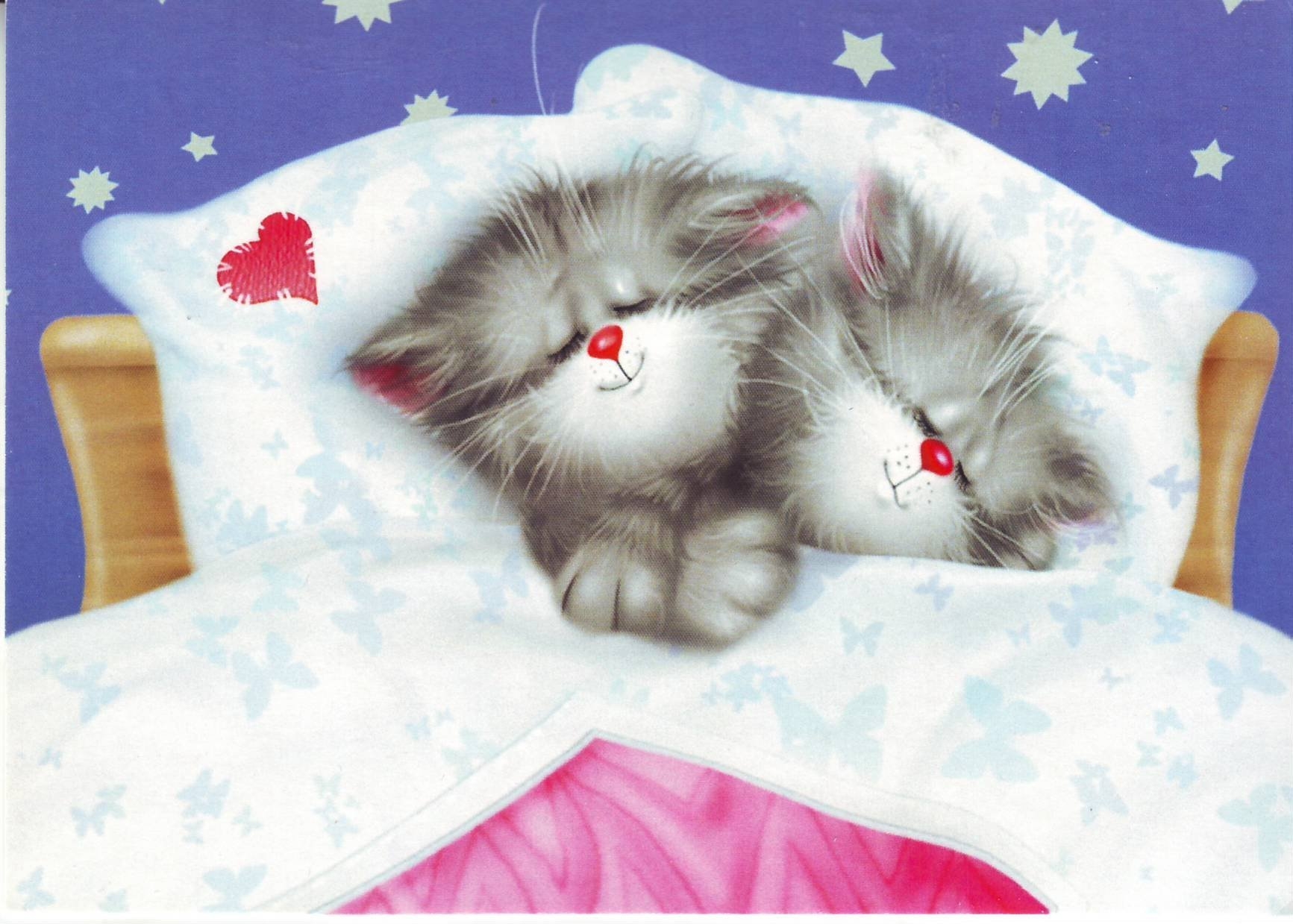 Пушистые котята спят. Спящие котята. Спокойной ночи котики. Котенок. Спокойной ночи!. Сладких снов котик.