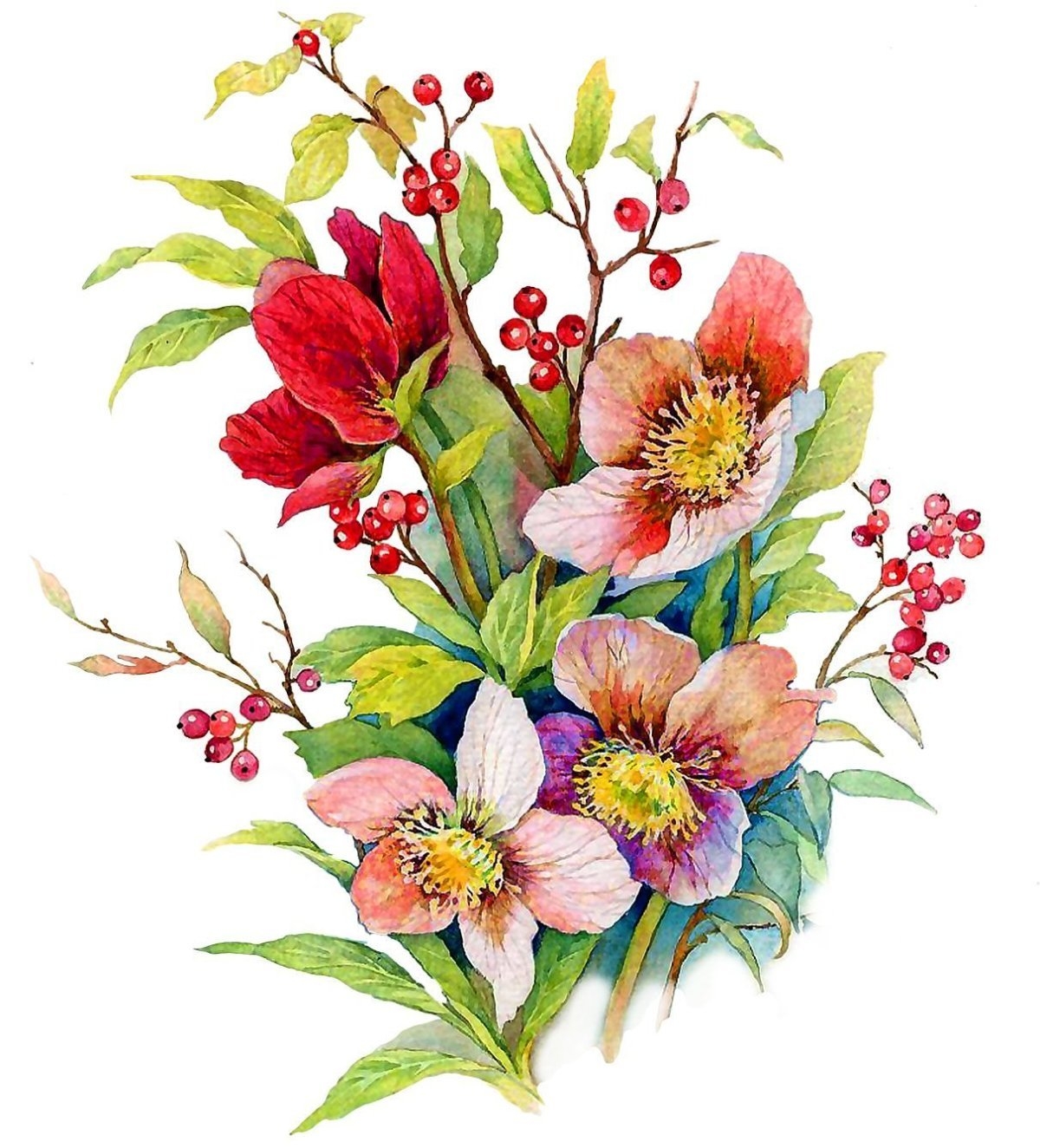 Картинки с днем рождения женщине цветы гладиолусы (60 фото)