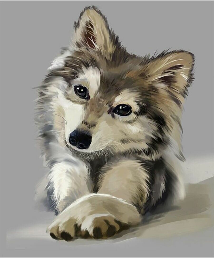 милый волк рисунок