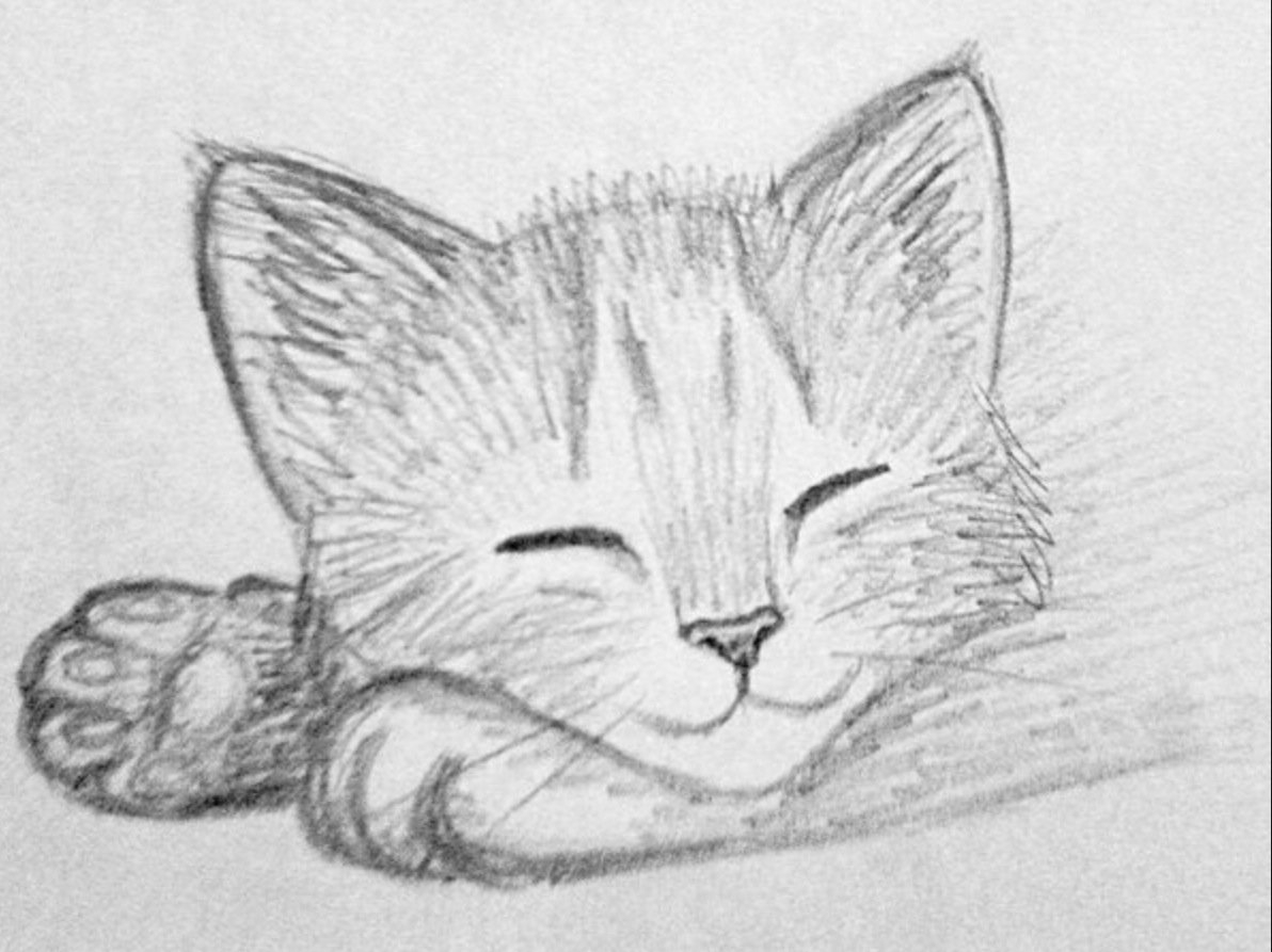 Коты для срисовки карандашом. Красивые и простые рисунки. Рисунки котов карандашом. Кошка рисунок карандашом. Картинки кошек для срисовки.