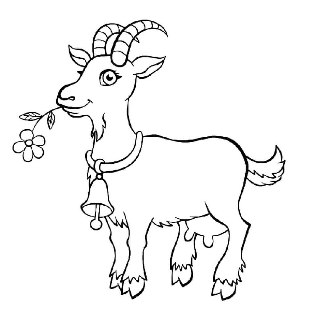 Раскраска Рогатая коза - распечатать бесплатно